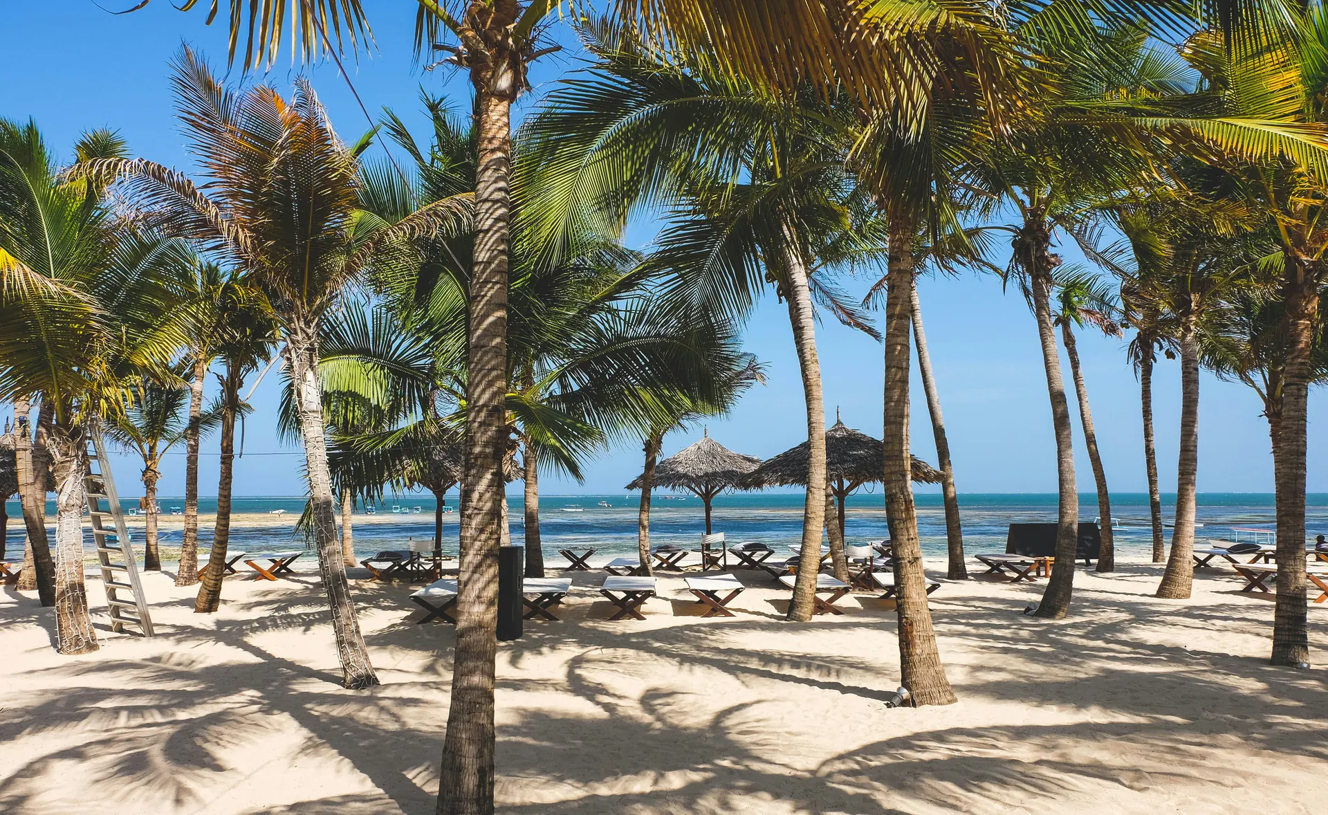 Palm trees and loungers on the beach at Diani, Kenya