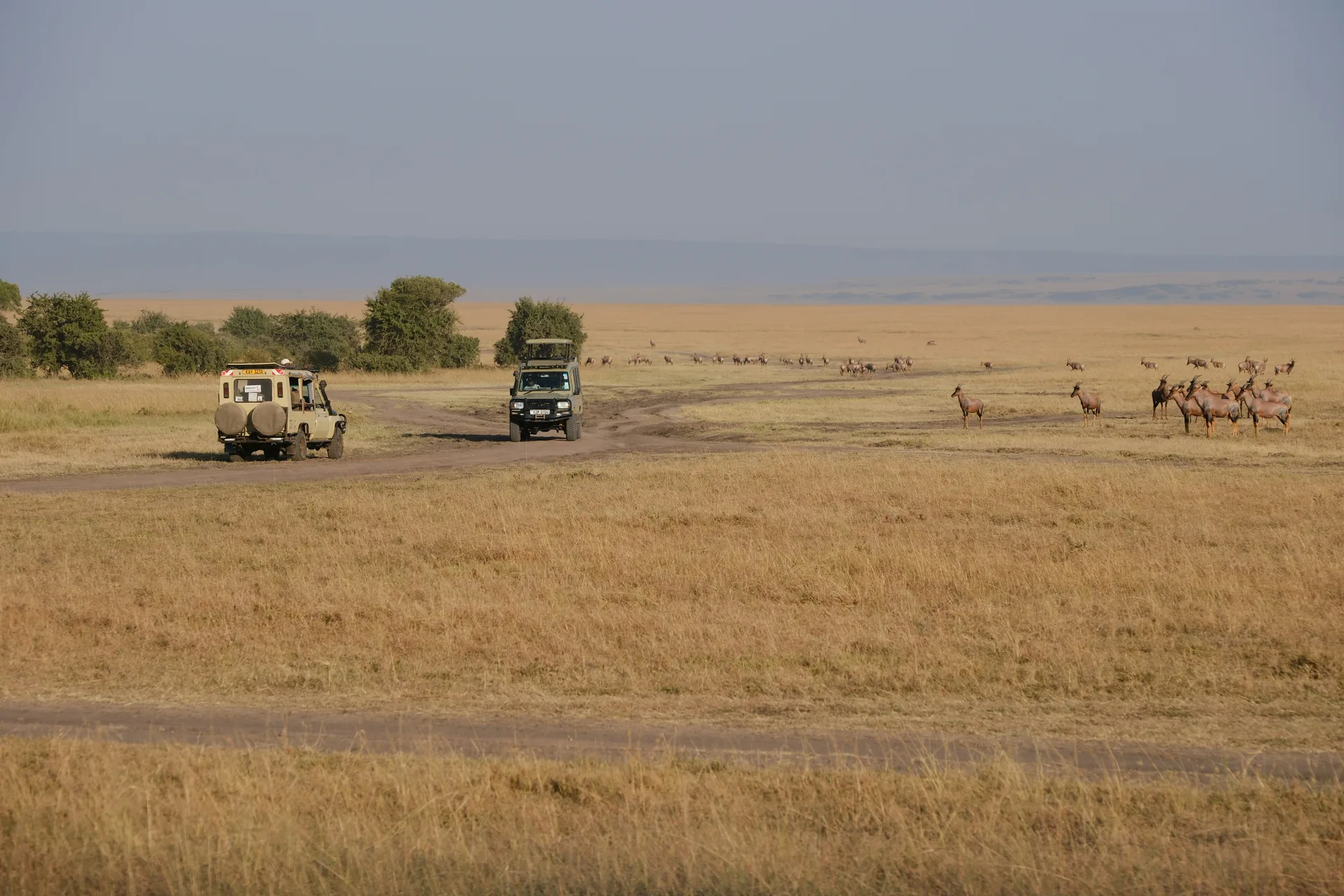 View from a safari vehicle at sunset in Kenya